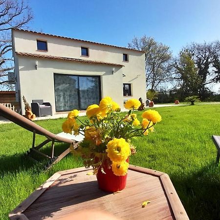 Villa Sandrine, Confortable Et Cosy Proche D'Aix En Provence Meyrargues Εξωτερικό φωτογραφία